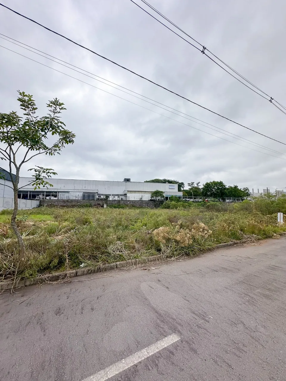 Terreno Industrial no Salgado