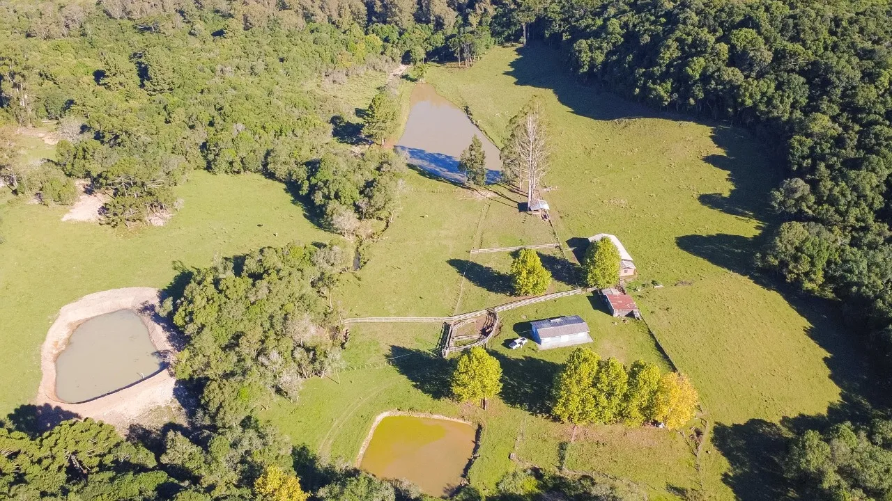 Área de Terra em Nova Sardenha